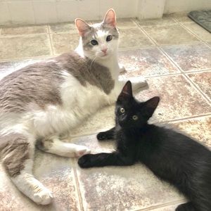 Meet your Posher, Catherine